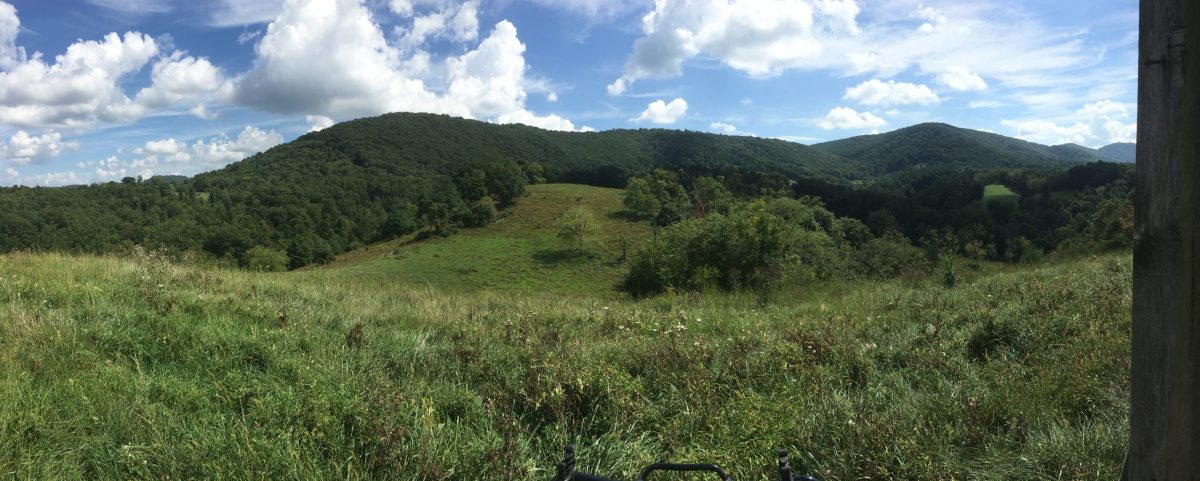 WHEN TO SELL LAND IN NORTH CAROLINA